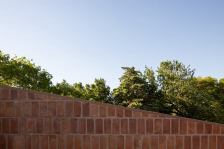 House around the Tree